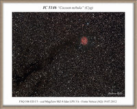 IC5146_Cocoon_FSQ_MZ8_web.jpg