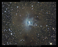 172_IRIS_P75.jpg