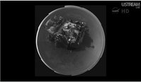 Un autoritratto completo mostrato durante il briefing di ieri