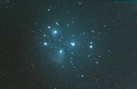 M 45 bicolor.jpg