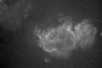 IC 1848-H.jpg