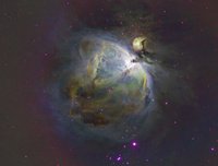 M42 HP.jpg