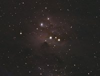 NGC 1975 sho crop.jpg