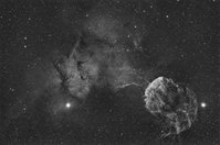 IC 443.jpg