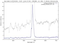 novacep_20130210_double.jpg