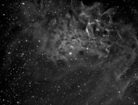 ic 405 Ha.jpg