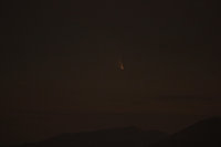 cometabruna.jpg