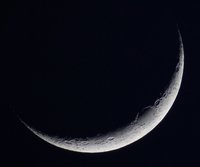 Img_8443.jpg