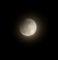 Immagine ripresa alle 21.01 del 25/4/13 (dettaglio)<br />Fotocamera Canon EOS650D, focale 55mm, f/5.7, 1/50sec, 400 ISO