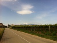 IMG_1214.jpg