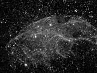 sh2_240_P400_h6_31x6min_b2_hp_crop_ch2.jpg