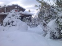 foto 2.JPG