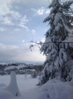 foto 3.JPG