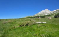 panorama1.jpg