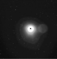 immagine "ad alta dinamica" con la chioma e il nucleo (in negativo)