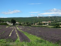panorama-OHP.jpg