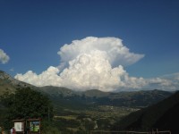 IMG_4963.jpg