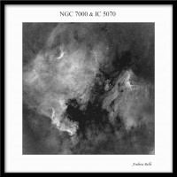 IC5070-NGC7000_FSQ_Ha_mosaico_web.jpg