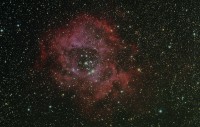 neb2_rosetta26croprid.jpg