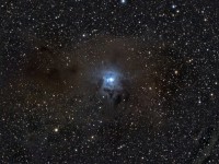 iris5.jpg