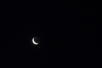IMG_4145a.jpg