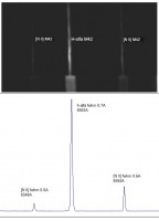 m42_spec_prof.jpg (65.15 KiB) Visto 3892 volte m42_spec_prof.jpg