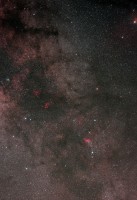 la coda dello scorpione