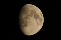 IMG_7048.JPG