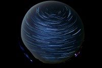 startrialfish1123.jpg