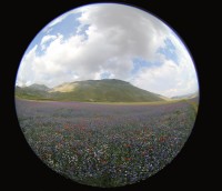 castelluccioby12.jpg