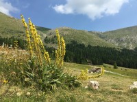 IMG_9298.jpg