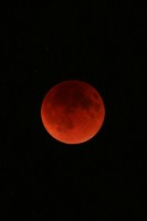 IMG_7617r.JPG