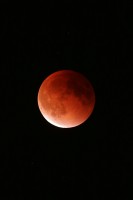 IMG_7630r.JPG