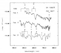 SN1989B_spectra.jpg