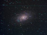 M33-annotazioni.jpg