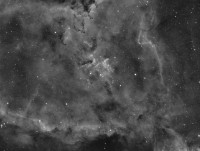 IC1805.jpg