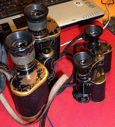 Pagor 8x15 1912 confronto con binocolo 6x30 rid