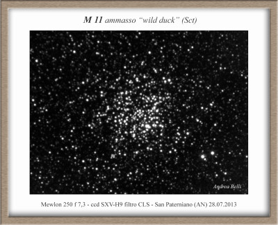 M 11 "Wild Duck"
