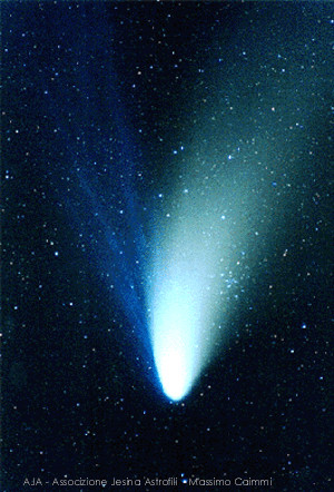 C1995O1