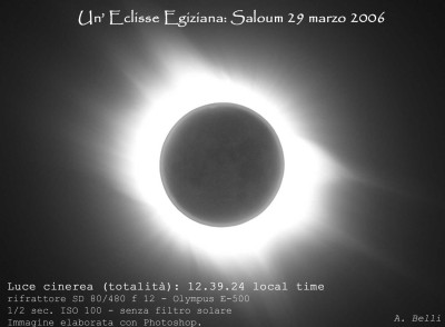 Luce cinerea 1 web