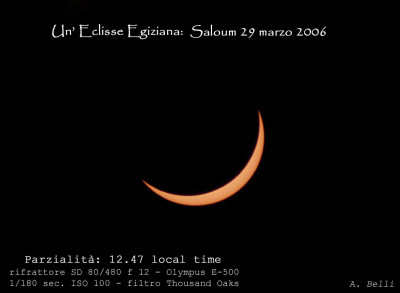 Parziale 8 web