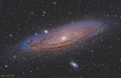 Lady Andromeda
