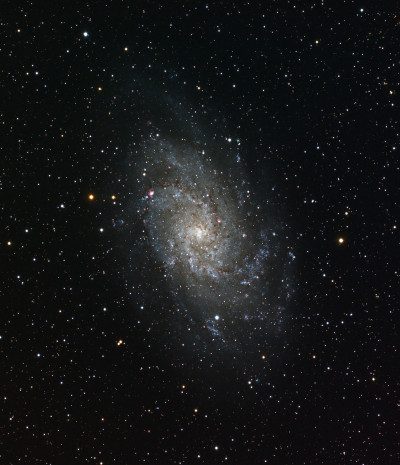 M 33
