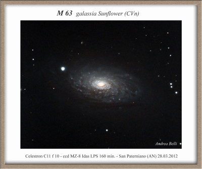 M 63