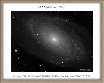 M 81