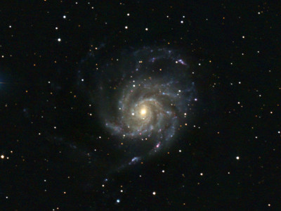 M101