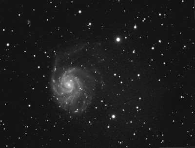 m101bmsd
