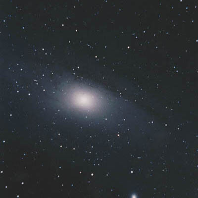 M31
