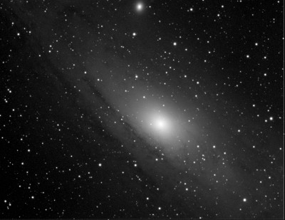 m31dms