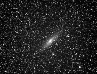m31dms50